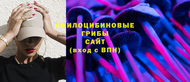 Псилоцибиновые грибы MAGIC MUSHROOMS Курлово